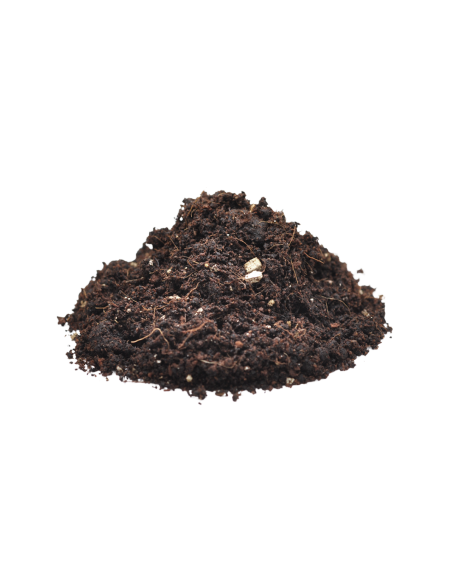 Habistat Spider Bedding 5 Litres habistat - 2