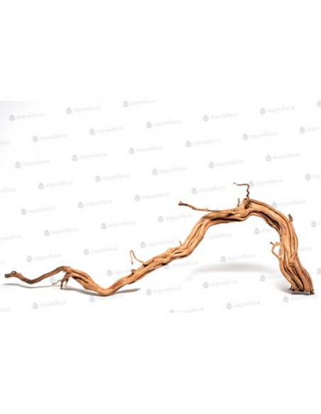 Racine Curl Wood M 60 À 80cm 1p AQUA DECO - 2