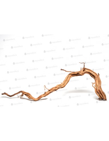 Racine Curl Wood S 30 À 55cm 1p AQUA DECO - 3