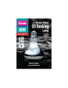 Arcadia 2nd Generation Uv Basking Lamp 100 Watt Arcadia - 1