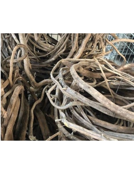 Liana Amazon Wood  - 500g AquaBota - 1