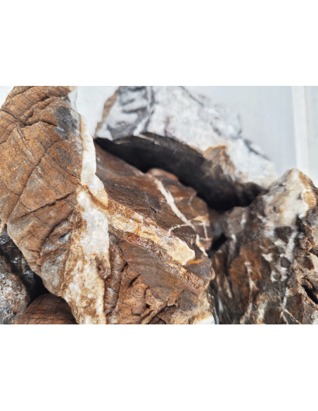 Elderly Nano Rock 2Kg WIO - 2
