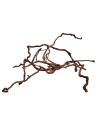 Wio Elder Root Mix 10-30cm 300g WIO - 2