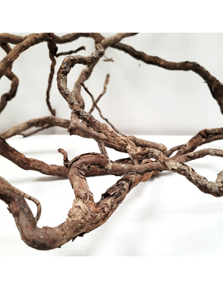Wio Elder Root Mix 10-30cm 300g WIO - 3