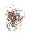 Wio Roots Mini Root WIO - 3