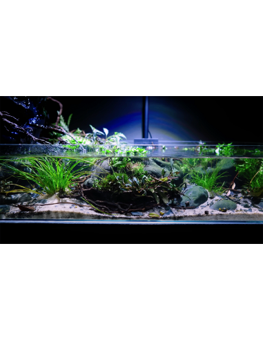 Terreau nutritif pour aquarium avec plantes : Dennerle Deponit Mix