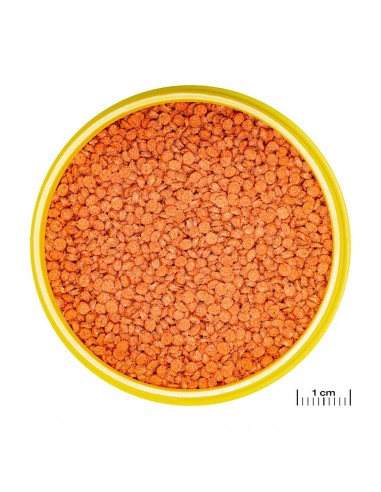 JBL PRONOVO BITS M JBL - 1