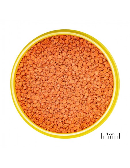 JBL PRONOVO BITS M JBL - 1