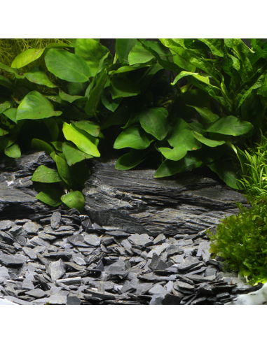 Dennerle Natural Gravel Kongo, 10-30 Mm, 500 Gr Dennerle - 1