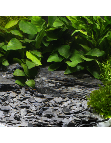 Dennerle Natural Gravel Kongo, 10-30 Mm, 500 Gr Dennerle - 1