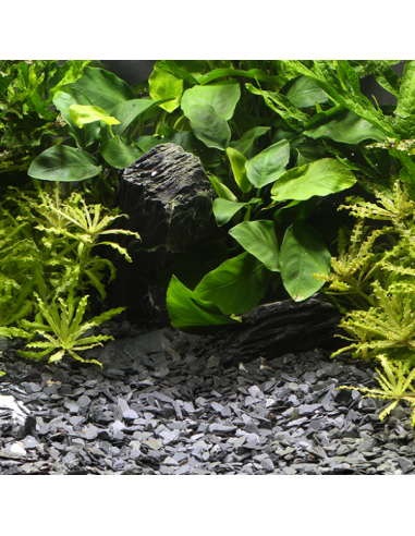 Dennerle Natural Gravel Kongo, 3-8 Mm, 2,5 Kg Dennerle - 2