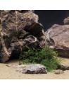 Dennerle Natural Gravel Mekong, 0,1-0,6 Mm, 2,5 Kg Dennerle - 2