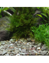 Dennerle Natural Gravel Rio Xingu, 2-22 Mm, 2,5 Kg Dennerle - 1