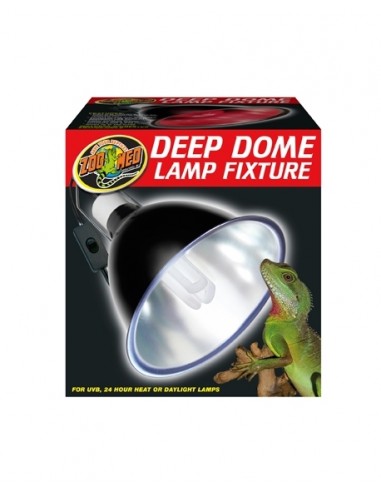 Support Deep Dome ZOOMED - 1