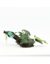 Driftwood (P 15-20 cm) avec anubias  - 1