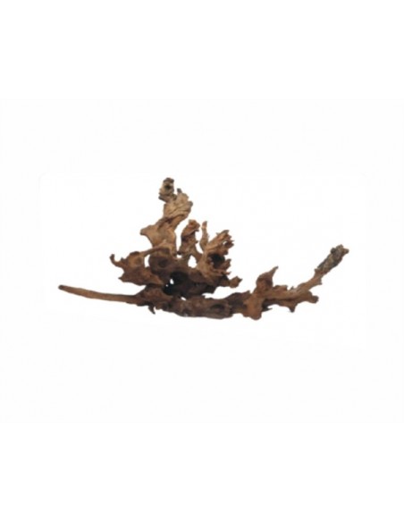 Wabi Kusa Drift Wood 5-12 Cm Per 2 St MyWabiKusa - 1