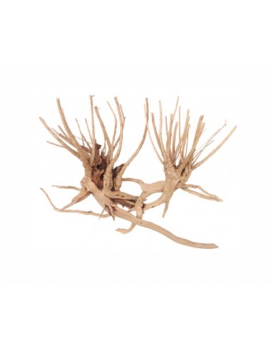 Wabi Kusa Slim Wood 7-18 Cm Per 2 St. MyWabiKusa - 1