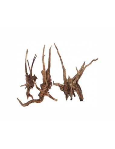 Wabi Kusa Dark Slim Wood 7-18 Cm Per 2 St. MyWabiKusa - 1