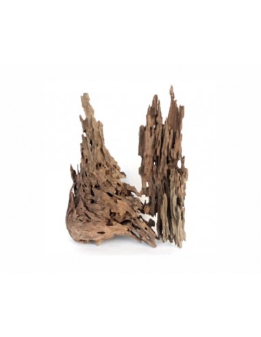 Wabi Kusa Honeycomb Wood 5-12 Cm Per 2 St. MyWabiKusa - 1