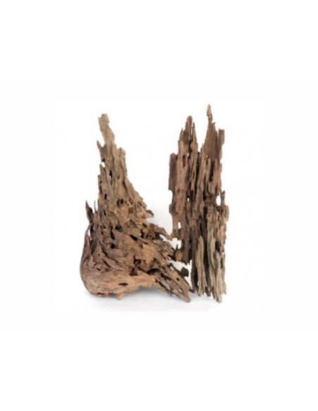 Wabi Kusa Honeycomb Wood 5-12 Cm Per 2 St. MyWabiKusa - 1