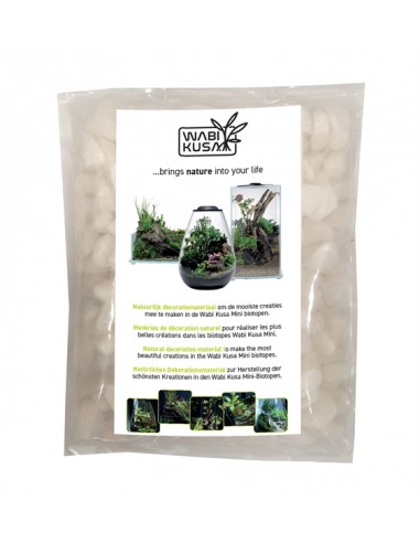 Wabi Kusa White Pebbles 1-3 Cm 1 Kg MyWabiKusa - 1