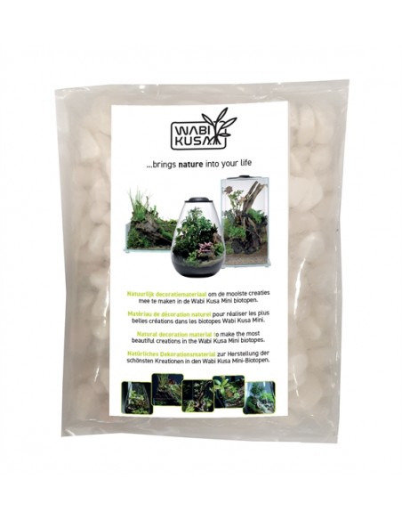 Wabi Kusa White Pebbles 1-3 Cm 1 Kg MyWabiKusa - 1