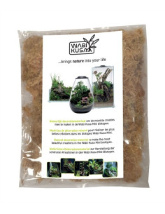 Wabi Kusa Moss 1000 Ml MyWabiKusa - 1