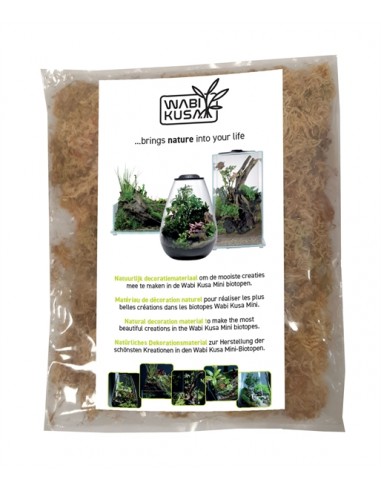 Wabi Kusa Moss 1000 Ml MyWabiKusa - 1