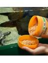 JBL PROTERRA GAMMARUS 750ml JBL - 2