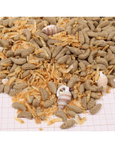 JBL PROTERRA MOLLUSCUS 1000ml JBL - 2