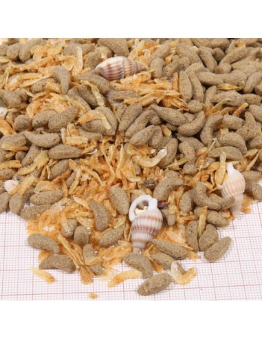 JBL PROTERRA MOLLUSCUS 250ml JBL - 2
