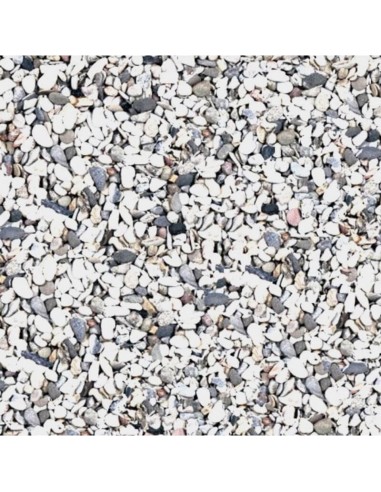 Scalare gravier gros clair 10kg SCALARE - 3