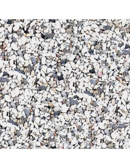 Scalare gravier gros clair 10kg SCALARE - 3