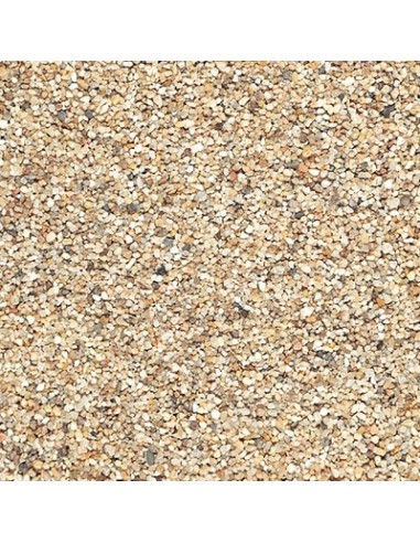 Scalare sable de Loire SCALARE - 3