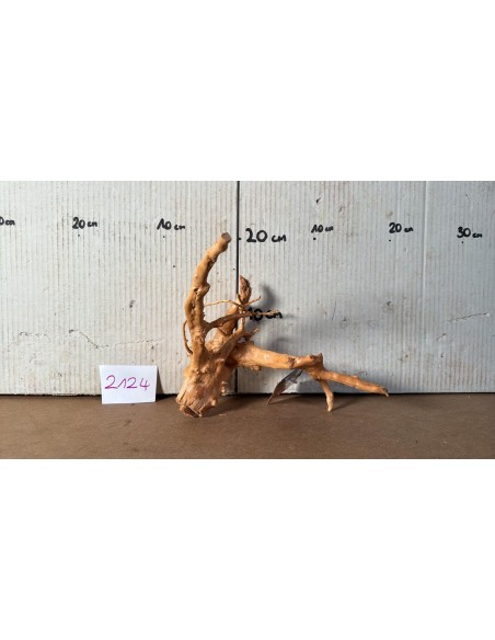 Racine Spiderwood 2124 AquaBota - 1