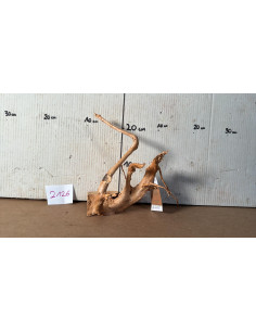 Racine Spiderwood 2126 AquaBota - 1