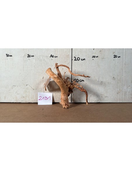 Racine Spiderwood 2131 AquaBota - 1
