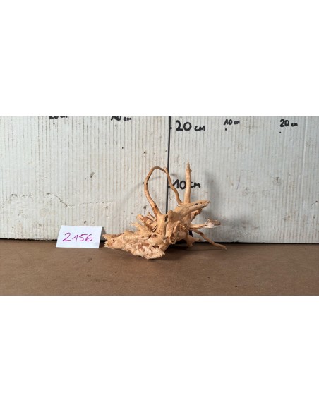 Racine Spiderwood 2156 AquaBota - 1