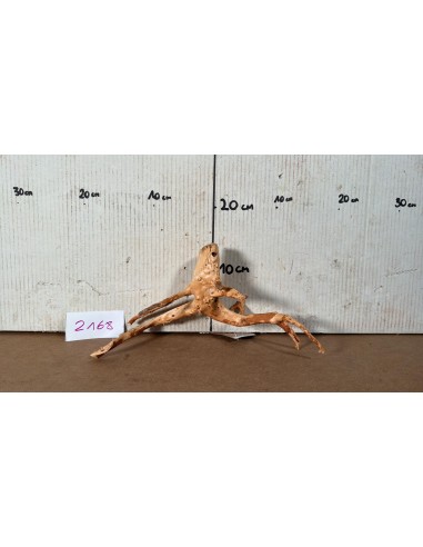Racine Spiderwood 2168 AquaBota - 1