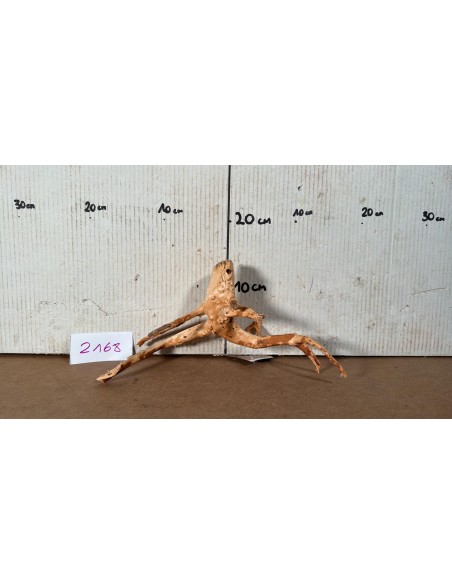 Racine Spiderwood 2168 AquaBota - 1