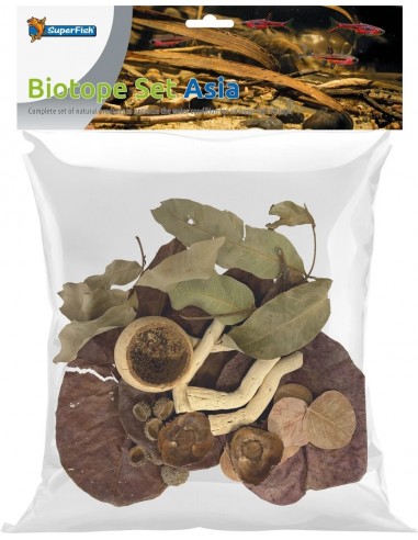 Superfish - Kit Biotope Asiatique SuperFish - 1