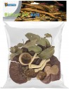 Superfish - Kit Biotope Asiatique SuperFish - 1