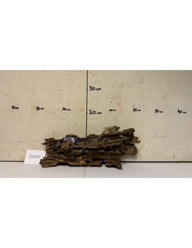Racin Honey Comb 3004