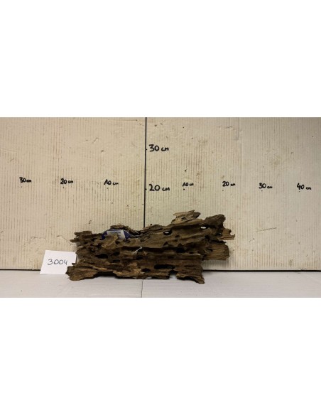 Racin Honey Comb 3004