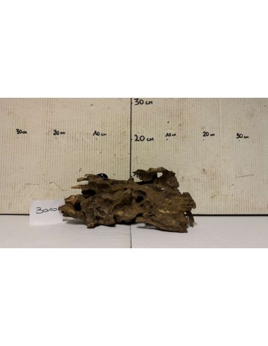 Racin Honey Comb 3010