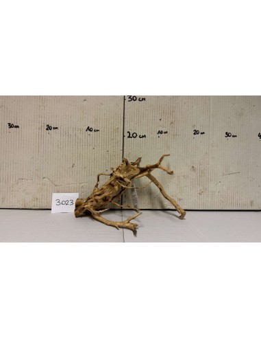 Racine Spiderwood 3023