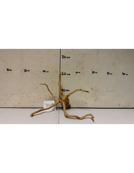 Racine Spiderwood 3018