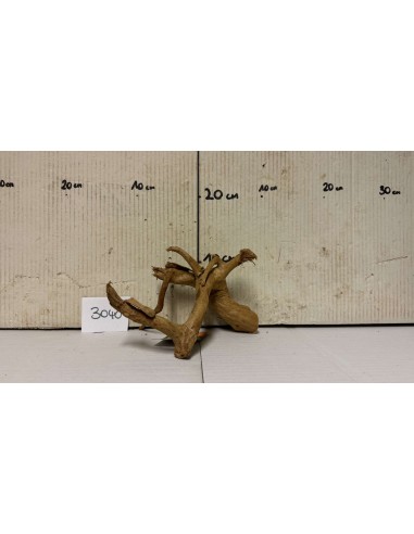 Racine Spiderwood 3040