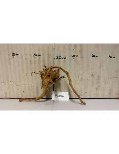Racine Spiderwood 3046