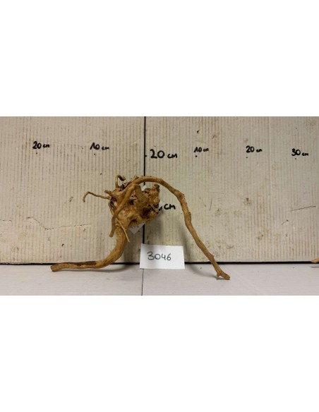 Racine Spiderwood 3046